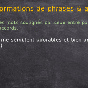 Rituels d'orthographe (accords) - transformations de phrases