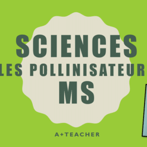 SCIENSES LES POLLINISATEURS MS