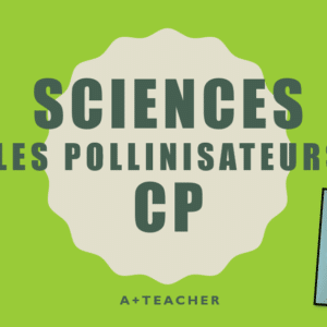 SCIENSES LES POLLINISATEURS CP