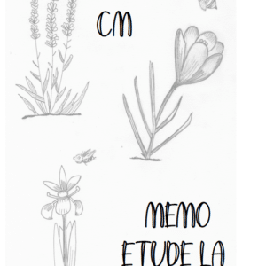 livret de leçons EDL Cycle 3